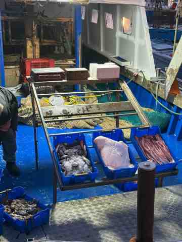 Meno polistirolo, pi� sostenibilit� a bordo