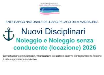 Approvati i nuovi Disciplinari per il Noleggio e per il Noleggio senza conducente (Locazione)