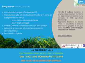 15 dicembre: on line il Workshop Seaforest Life