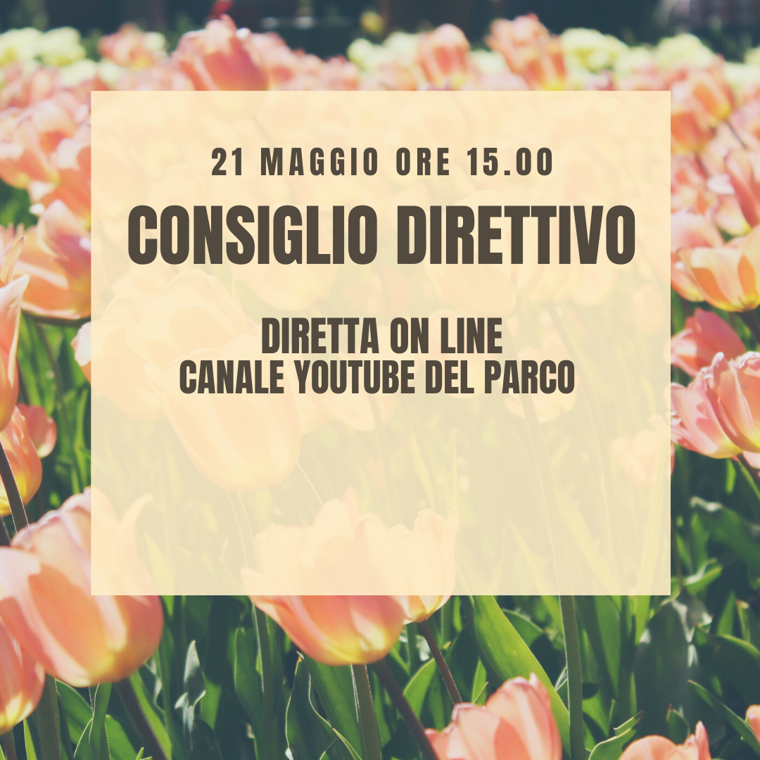 Consiglio Direttivo 21 maggio - diretta Youtube