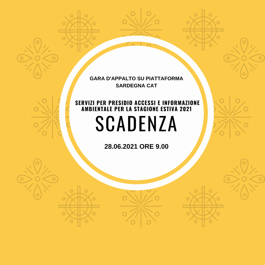 Gara servizi estivi - proroga alle ore 9:00 del giorno 05.07.2021.