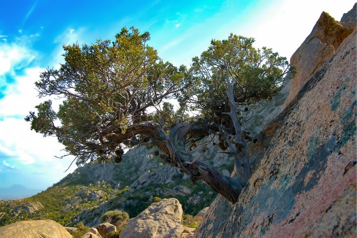 23/29 luglio: appuntamento con l\'ecofestival Stone\'s Life