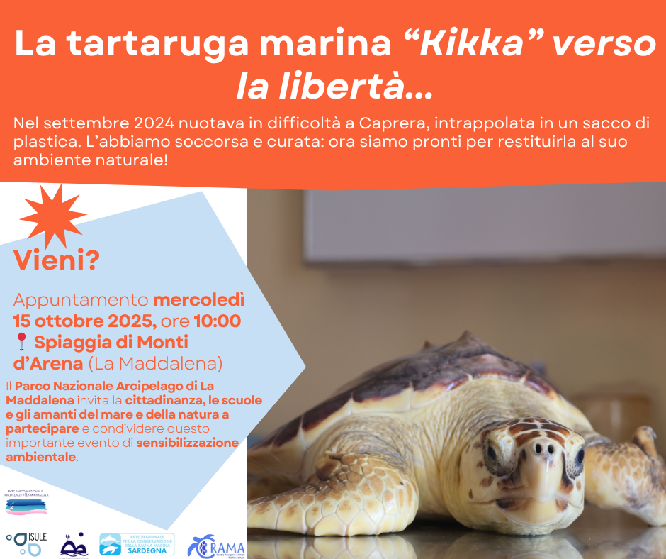 La storia di Kikka continua verso la libert!