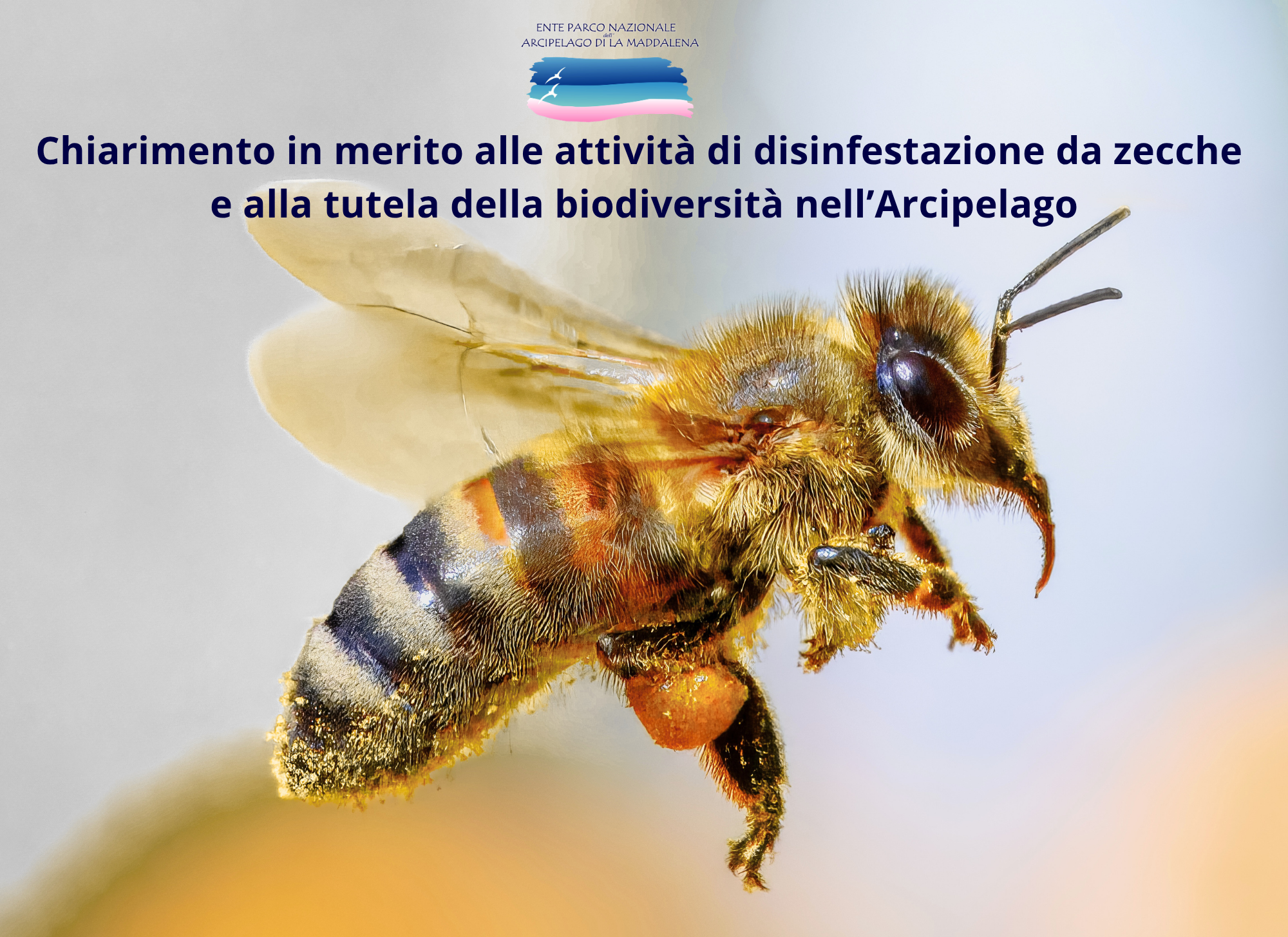 Chiarimento in merito alle attivit� di disinfestazione da zecche e alla tutela della biodiversit� nell�Arcipelago
