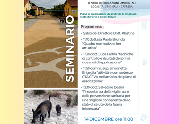 14 dicembre: seminario sul Piano di eradicazione cinghiali