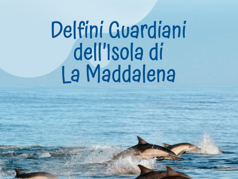 Riparte il progetto Delfini guardiani dell\'isola\