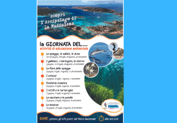TUTTE LE ATTIVITA\' IN SPIAGGIA 2024